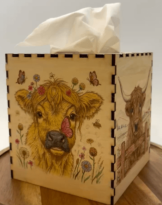 photo of tissue box showing pictures of highland cows