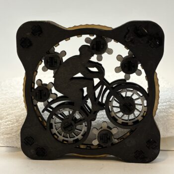 Kinetic Bicycle Coaster