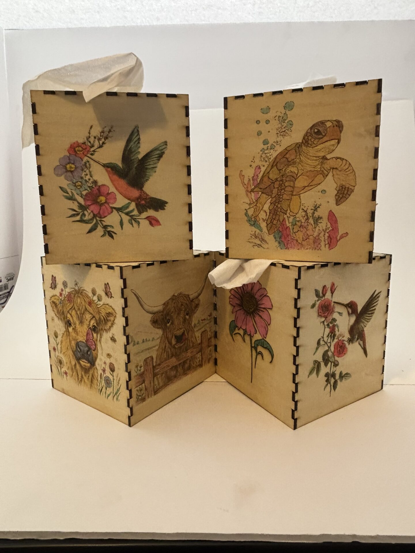 photo of 4 different tissue boxes, showing highland cows, hummingbirds and flowers, and turtle