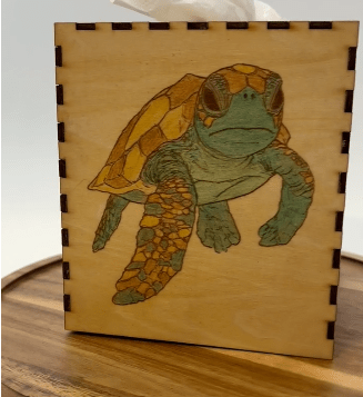 photo of tissue box with colored turtle on side