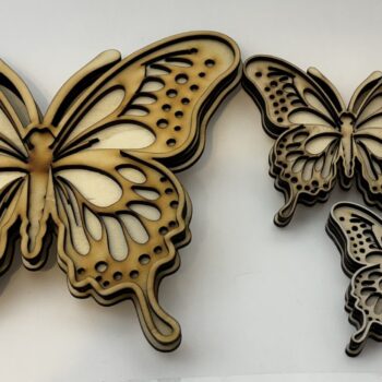 3D Butterfly