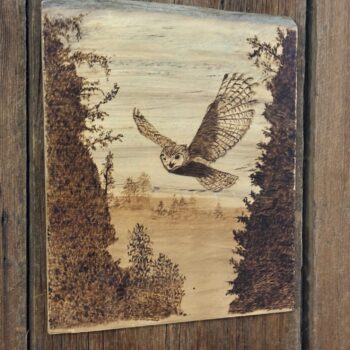 Owl in Flight Pyrography